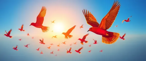 Fliegen Vögel immer in den Süden im Sommer?
